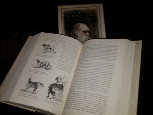 From So Simple A Beginning